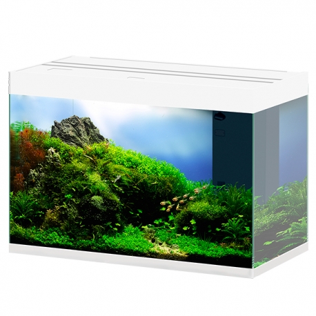 CIANO Emotions Pro 80 - Blanc - Aquarium tout équipé - 145 Litres