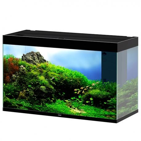 CIANO Emotions Pro 80 - Noir - Aquarium tout équipé - 145 Litres