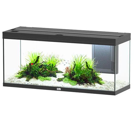 Aquarium AQUATLANTIS Volga 240 - Couleur Noir - Sans Meuble - 296 Litres