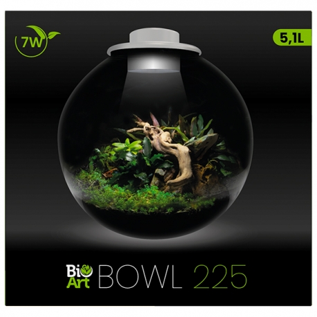 BIOART Bowl 225 LED Nano Garden - Blanc - Terrarium Livré Complet - 5,1 Litres