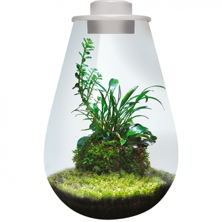 BIOART Drop 285 LED Nano Garden - Blanc - Terrarium Livré Complet - 5,1 Litres