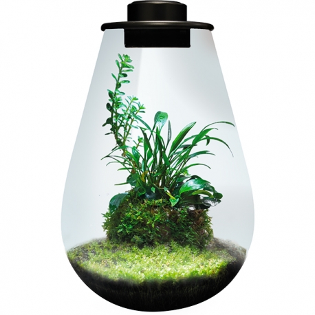 BIOART Drop 285 LED Nano Garden - Noir - Terrarium Livré Complet - 5,1 Litres