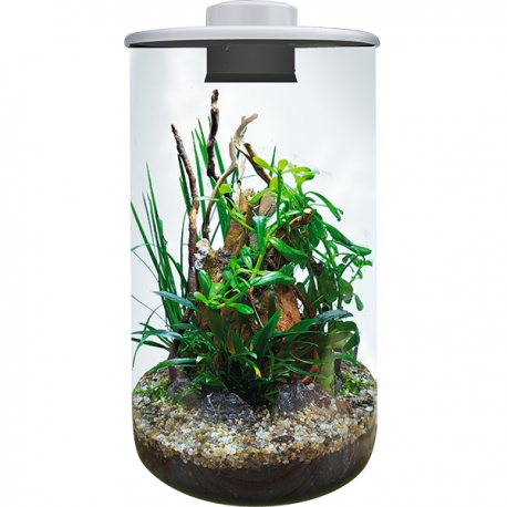 BIOART Cylinder 285 LED Nano Garden - Blanc - Terrarium Livré Complet - 4 Litres