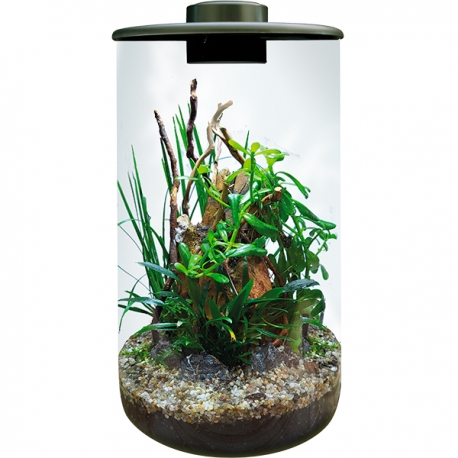 BIOART Cylinder 285 LED Nano Garden - Noir - Terrarium Livré Complet - 4 Litres