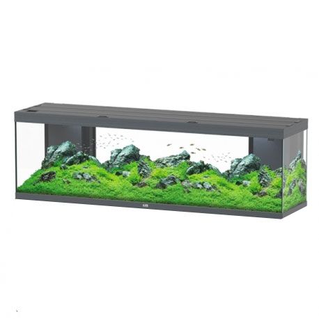 Aquarium AQUATLANTIS Splendid 200 - Couleur Gris - Sans Meuble - 296 Litres