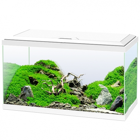 Aquarium CIANO Emotions Pro 60 - Blanc - Avec Chauffage et Filtre Inclus - 60 Litres