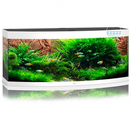 Aquarium Juwel Vision 450 Blanc - Cuve nue