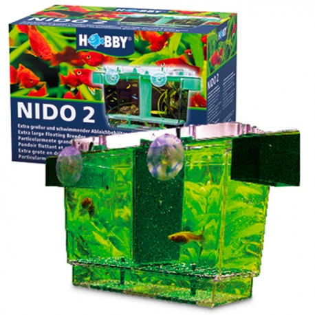 HOBBY Nido 2 - Pondoir Flottant - 21x16x14 cm - Reproduction et Isolation avec Séparateur