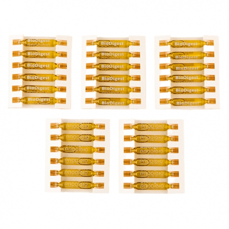 PRODIBIO Biodigest 30 Ampoules