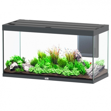 Aquarium AQUATLANTIS Volga 350 gris tout équipé - 427 Litres