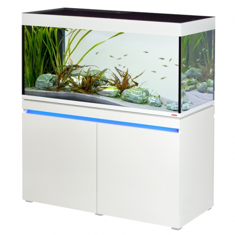 Acheter Ventouse, ventouse double face 10 pièces, pour poissons d'aquarium  de poissons en verre
