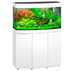 JBL ProScape - Tool P slim line 30cm - Pince droite fine pour plantes et  décoration d'aquarium