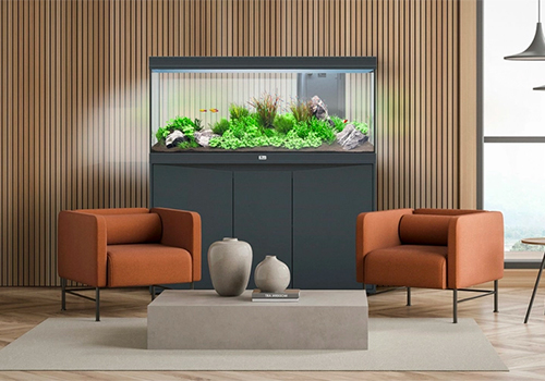 Où placer un aquarium chez soi ?