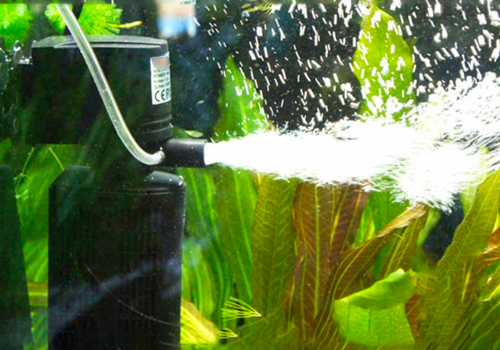 Volume de filtration - Filtres pour aquarium de 200 à 350L -   - Aquariophilie