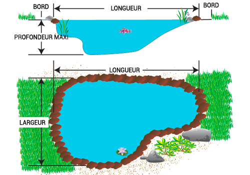 Calculez la dimension de la bache nécessaire pour créer un bassin de jardin