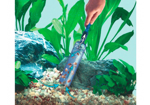 Voici comment nettoyer correctement le sol de l'aquarium