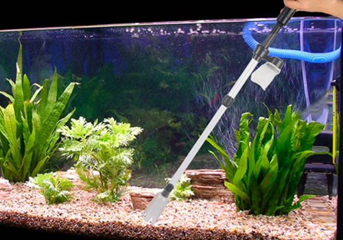 Filtre aquarium 10 litres au meilleur prix