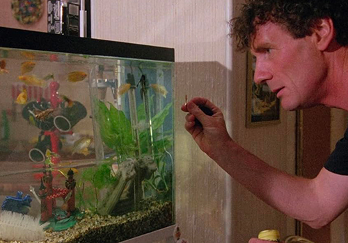 Le saviez-vous ? Certains aquariums dans les films ont volé la vedette aux acteurs !