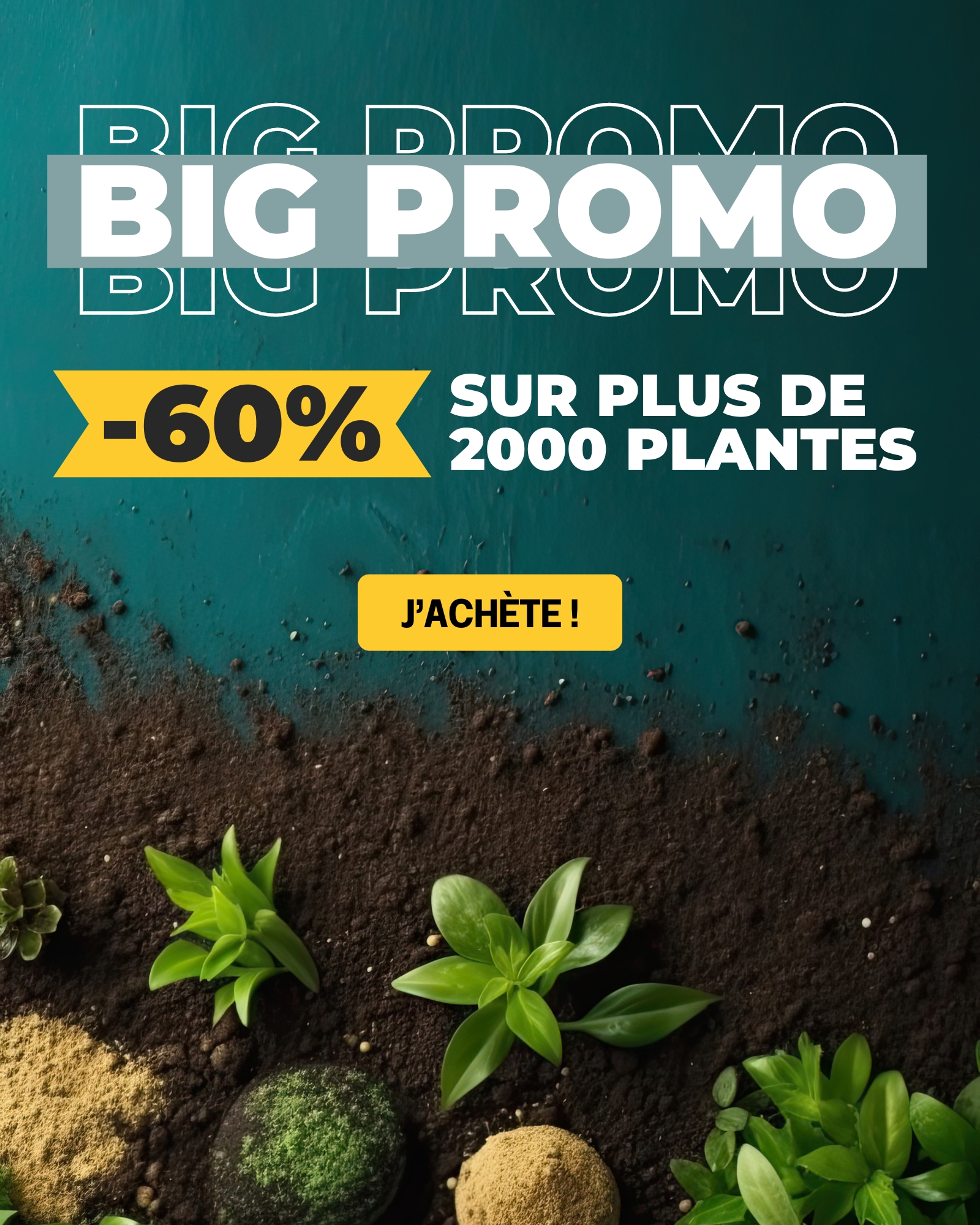 Plantes -60% - Mobile